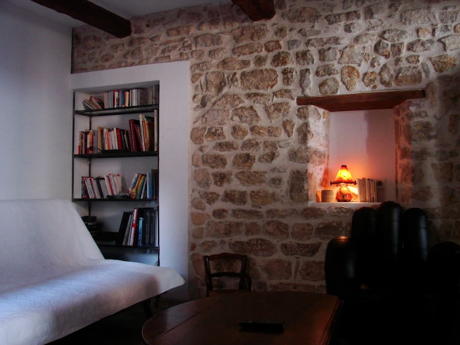 espace salon, télévision et bibliothèque