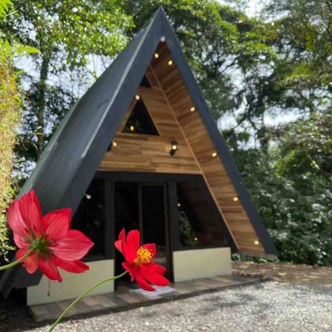 Chalet-style cabin! La Presa Falls & Waterfalls
