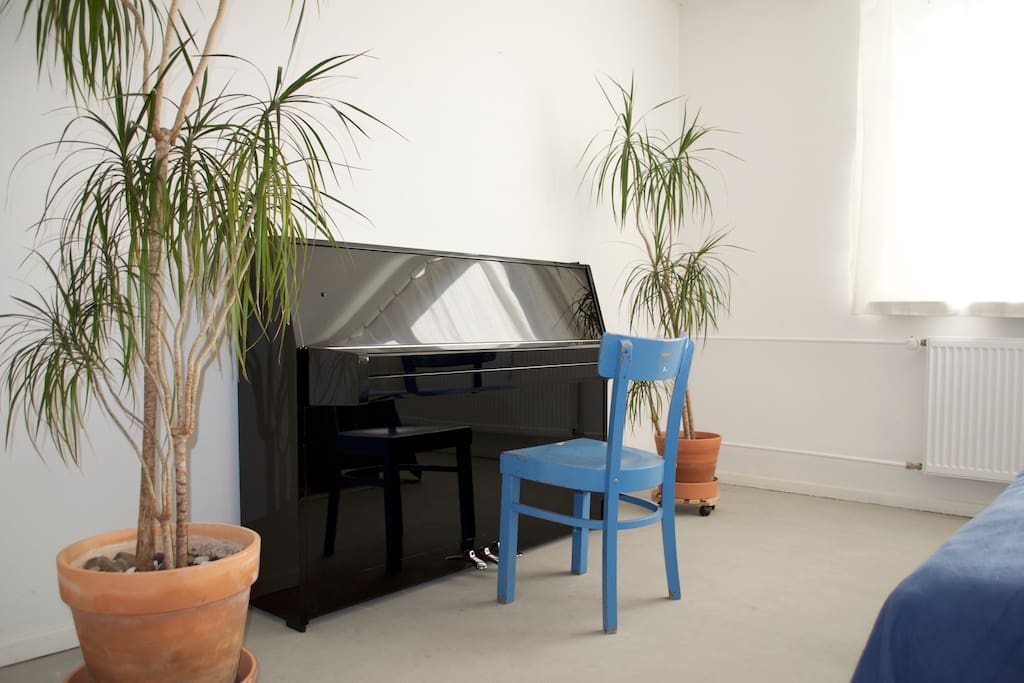 with piano