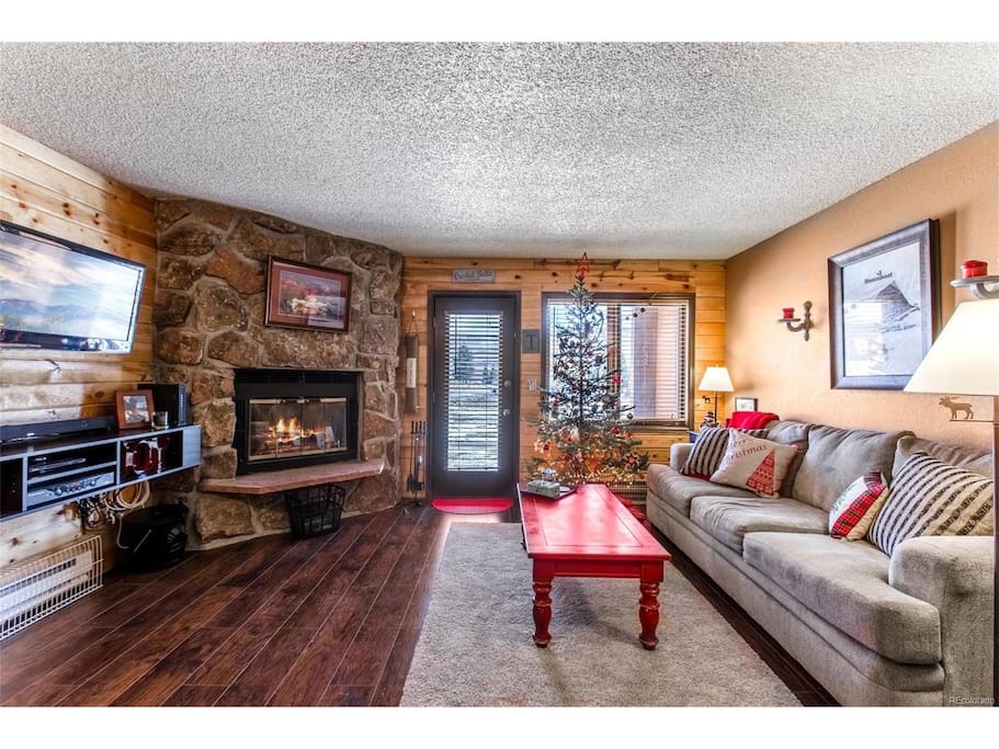 Common area with pull out couch & murphy bed. You may use the fireplace with appropriate logs (directions in unit)