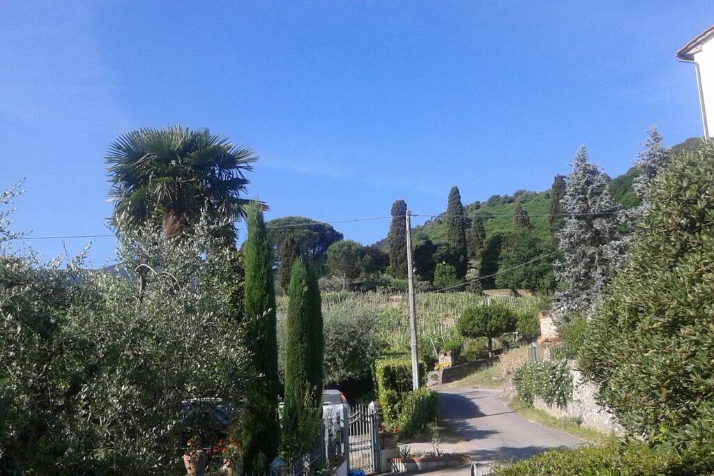 la strada di casa