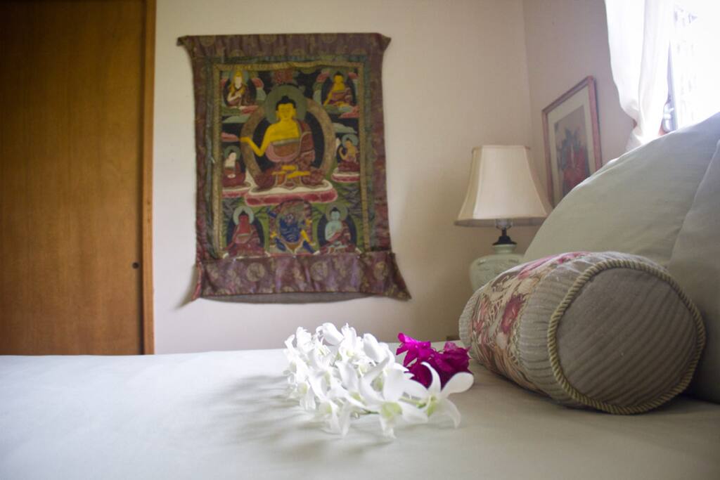 Paradise Room