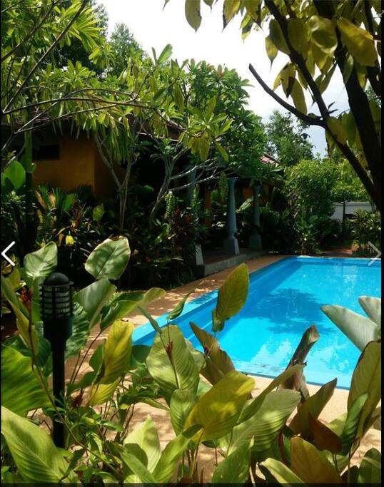 A beautiful garden