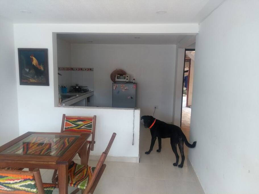 Sala y Cocina, al fondo se observa nuestro perro Rufo