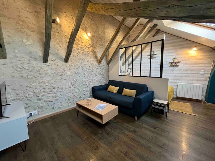 Sebule kubwa yenye sehemu ya chumba cha kulala iliyotenganishwa na turubai ya chuma