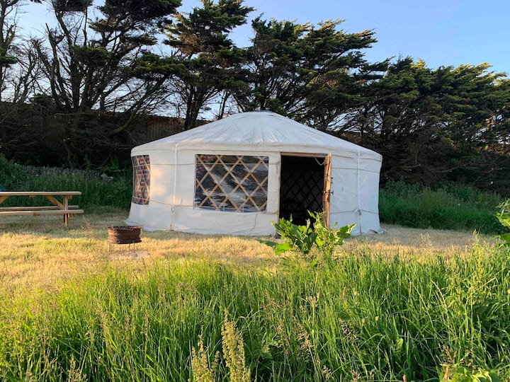 A delightful handcrafted yurt