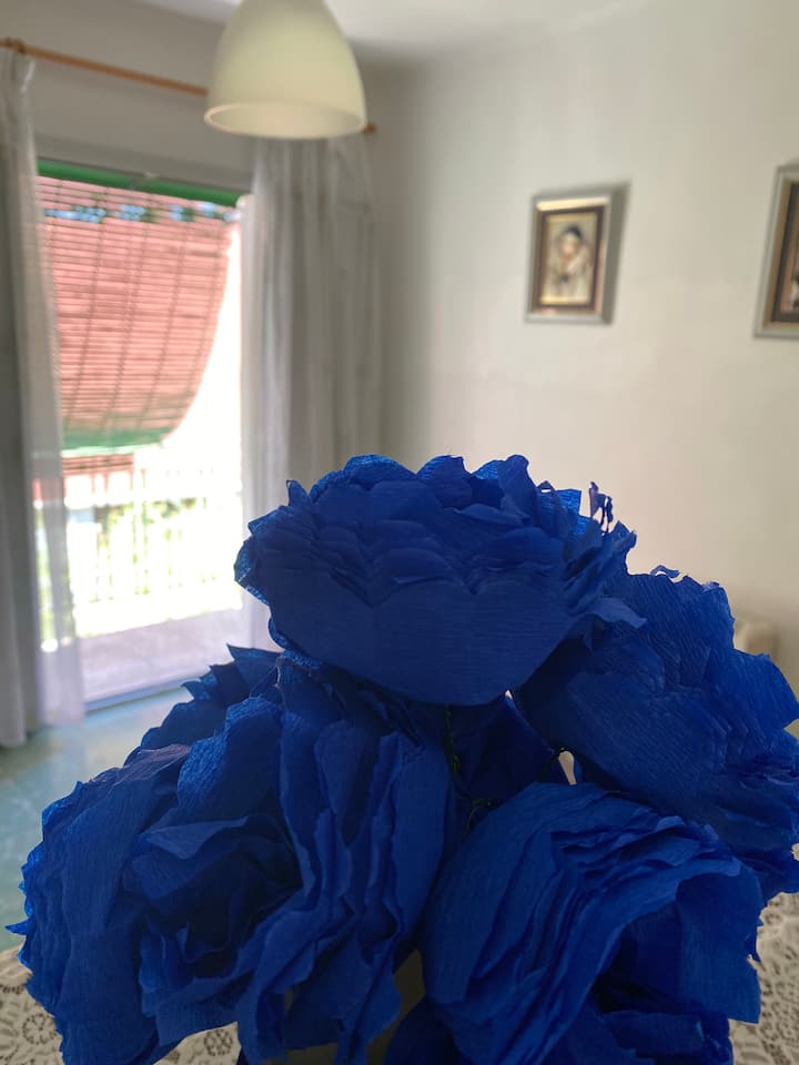 غرفة ريفية بسرير 90 سم ومخرج إلى الشرفة الخلفية. ساطعة جدًا 