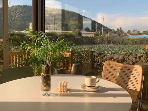 Jeju_wgz “제주외갓집” 은 휴식이필요한 여러분을위한공간입니다.(2박이상~2주가능)