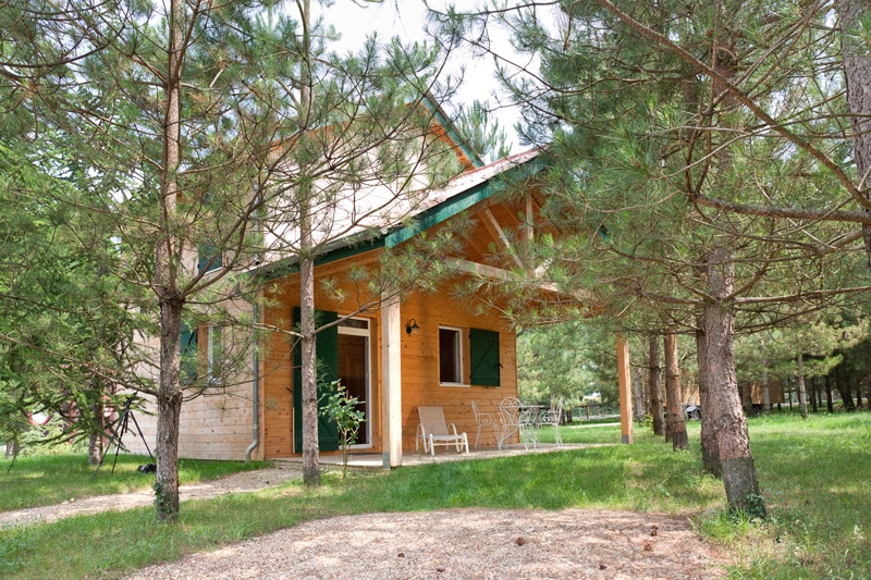 A wooden chalet is nestled among tall pine trees, featuring a covered porch with a small seating area. The exterior showcases large windows, allowing natural light to brighten the interior. A grassy area surrounds the chalet, contributing to a tranquil, natural setting.