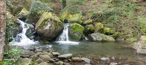 Agriturismo il Friscello, your natural pool