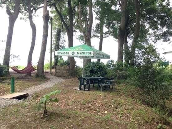 A shaded area under a green awning is displayed, with a table and chairs set for dining. A hammock hangs nearby, nestled among the trees. The path leading to the seating area is lined with gravel, surrounded by greenery and natural foliage.
