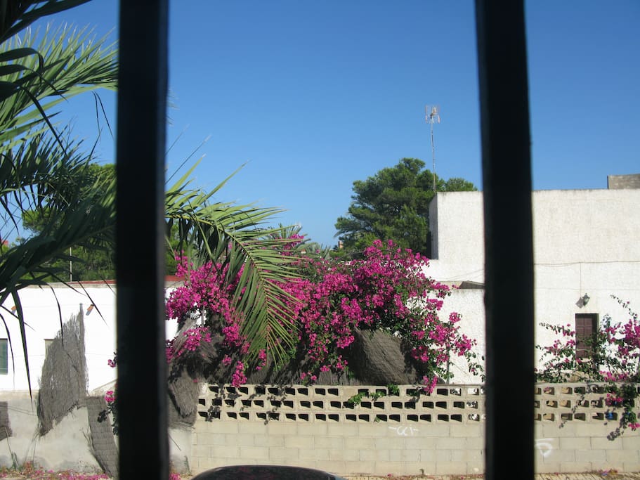 Vistas