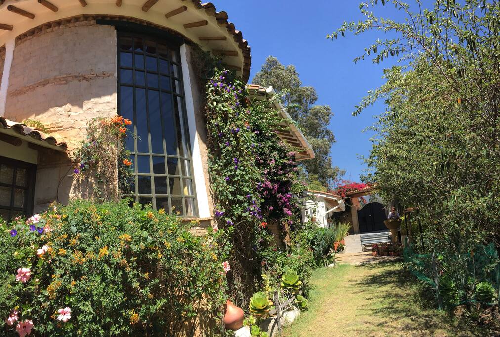 House rear view