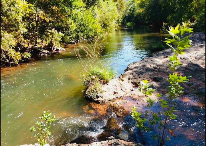 Hidden gem Farm cabin on oak creek river Farm stays for Rent in