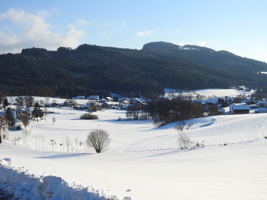 Winter Januar 2017