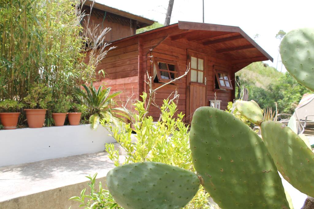 The Meditation Hut