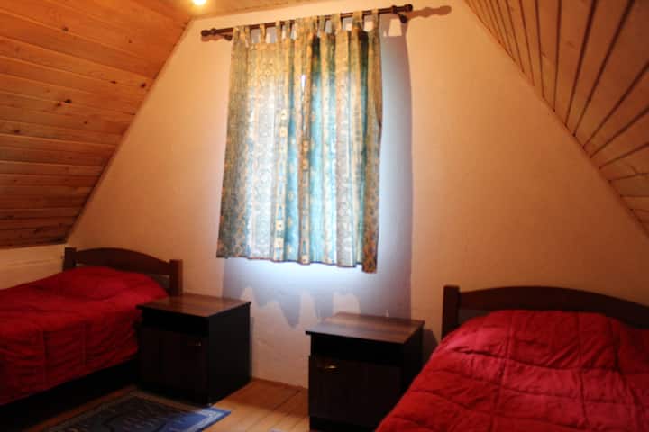 Habitación 1