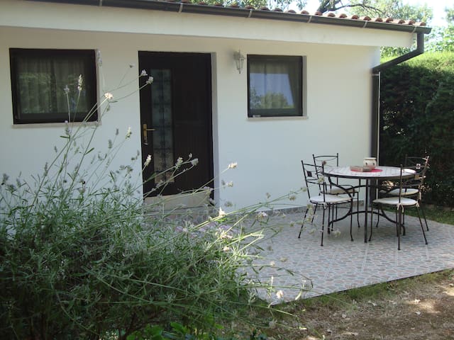 Airbnb Premantura Vacation Rentals Places To Stay Istria