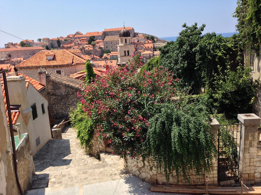 View from House Hilda 2