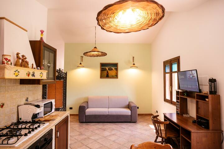 סלון/מטבח עם ספה זוגית.