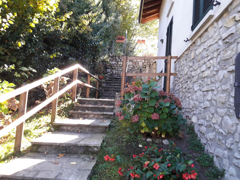 Ingresso