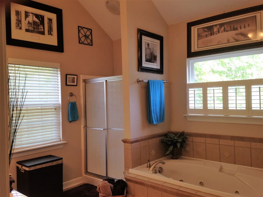 Master Bathroom with dual vanity, shower, jetted garden tub and separate lavatory.