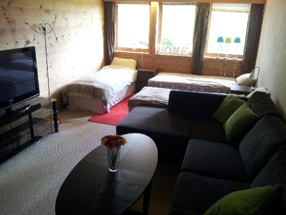 Your living room, with 3 of the beds + sofa that can be made into doublebed. Have extra madrass pluss baby/toddlers bed if needed. Have also another bedroom if needed.