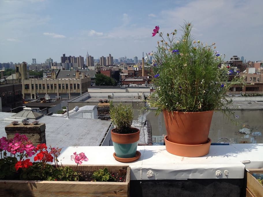 Rooftop with skyline views