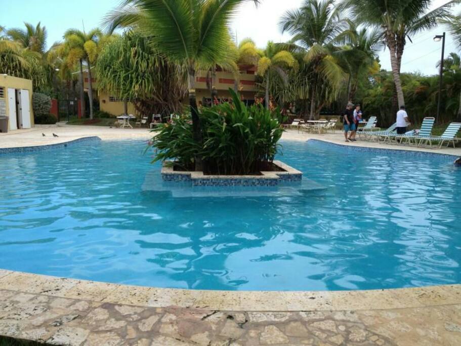 Pool #2