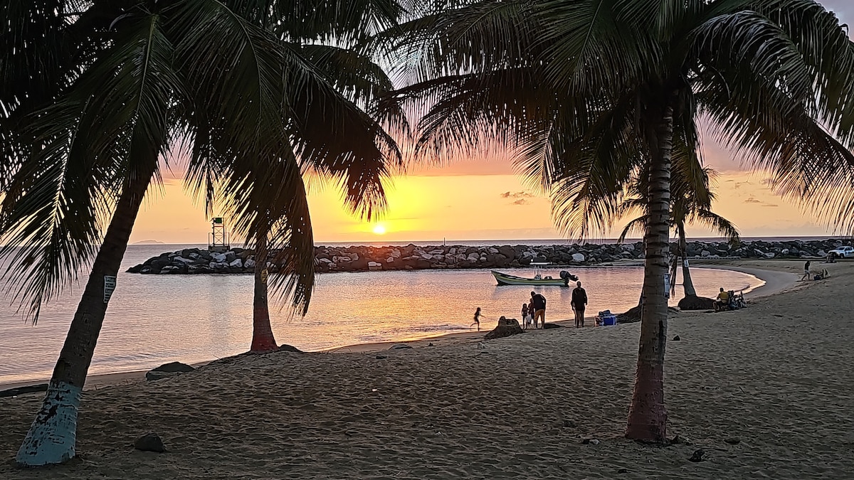 A serene beach scene captures a sunset with vibrant hues reflected in the calm water. Silhouettes of palm trees frame the image, while beachgoers gather along the shore, enjoying the tranquil atmosphere. The distant breakwater adds depth to the picturesque coastal view.