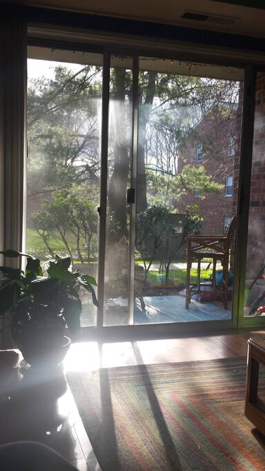 Garden condo with lots of light!