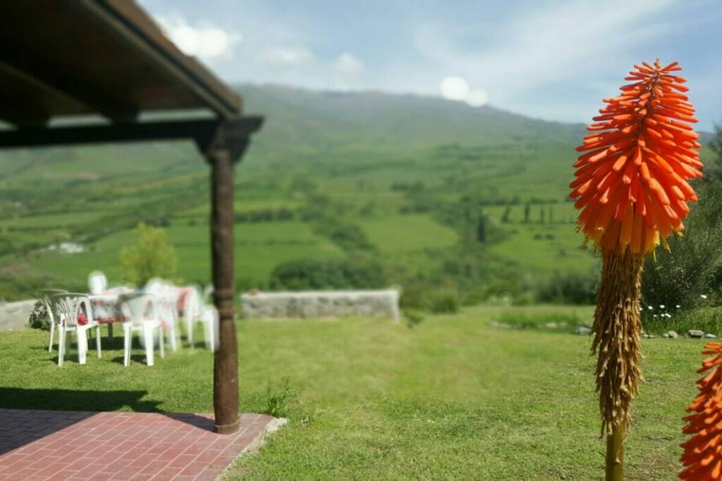 Maravillosa vista a las montañas