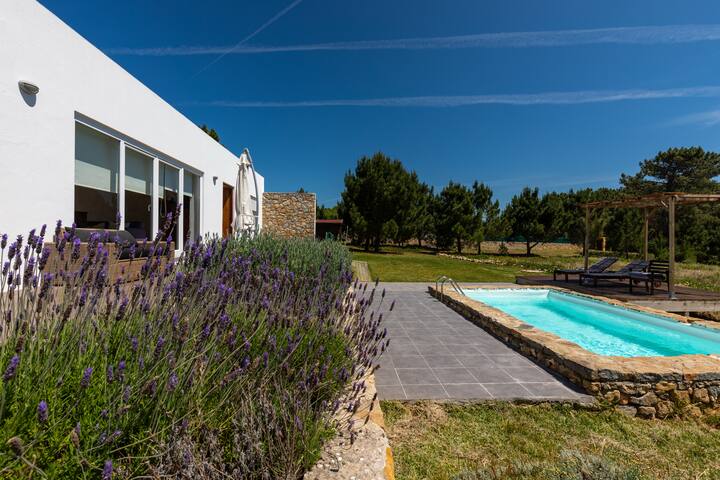 Modern Villa with S. Pool in Private Vineyard gallery image 2
