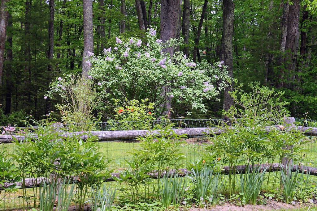 Enjoy gardens
