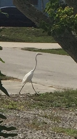 Off to the BEACH! Quiet, Safe,Pet friendly Home