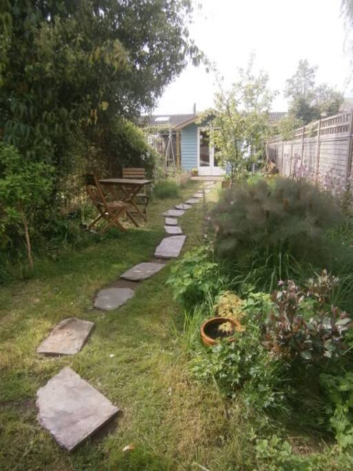 back garden