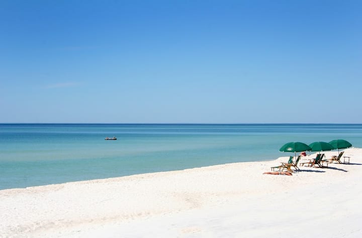 Pelicanlanding|laguna|patio|sleeps6|dogok|2blk2bch - Laguna Beach, FL