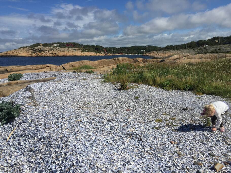 Beautiful local walks