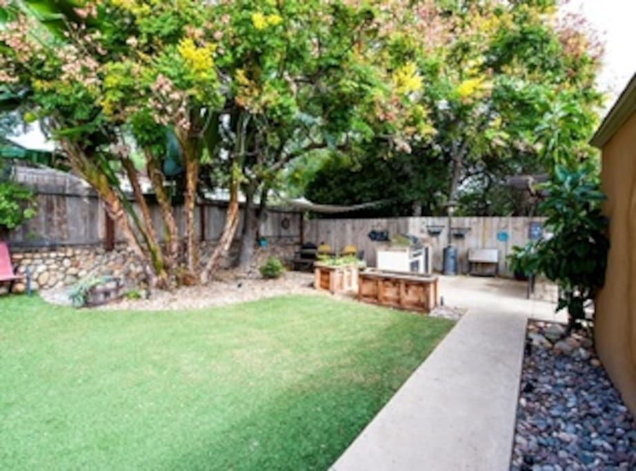 Backyard area