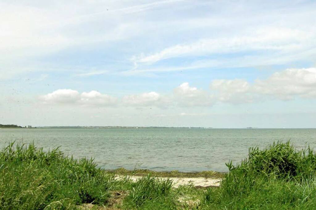 Fredelig og ugeneret strand