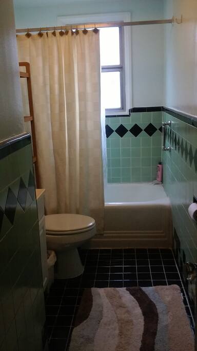 Shower and bathtub. Safety bars.