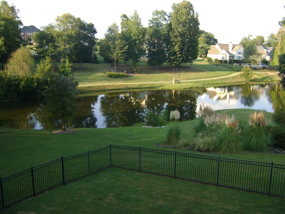 Beautiful view