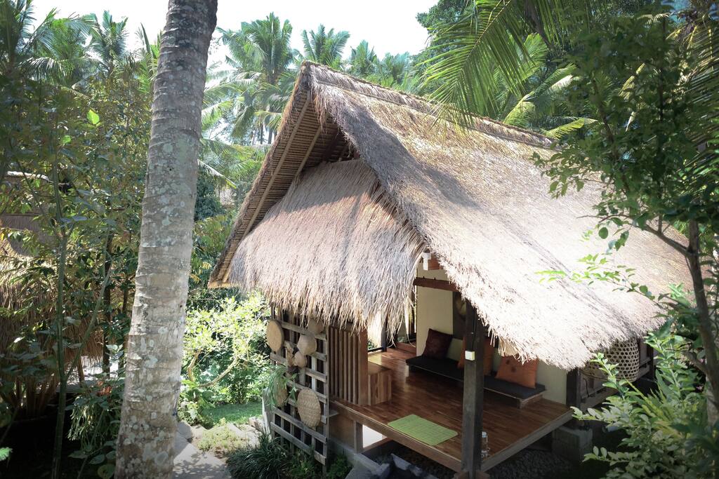 Our timber hut hides within trees