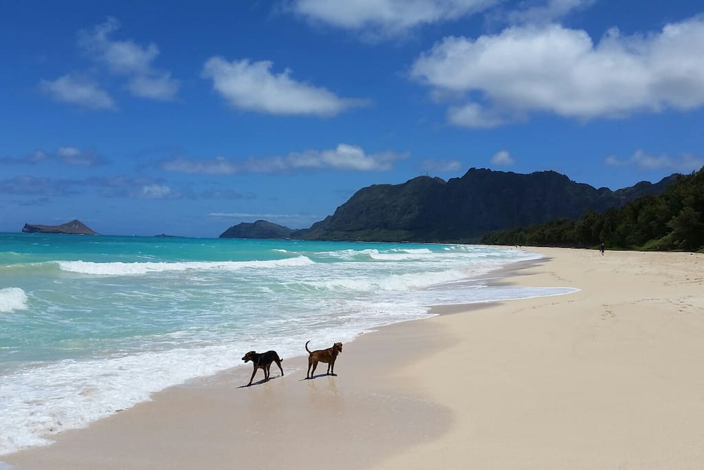 Waimanalo bay
