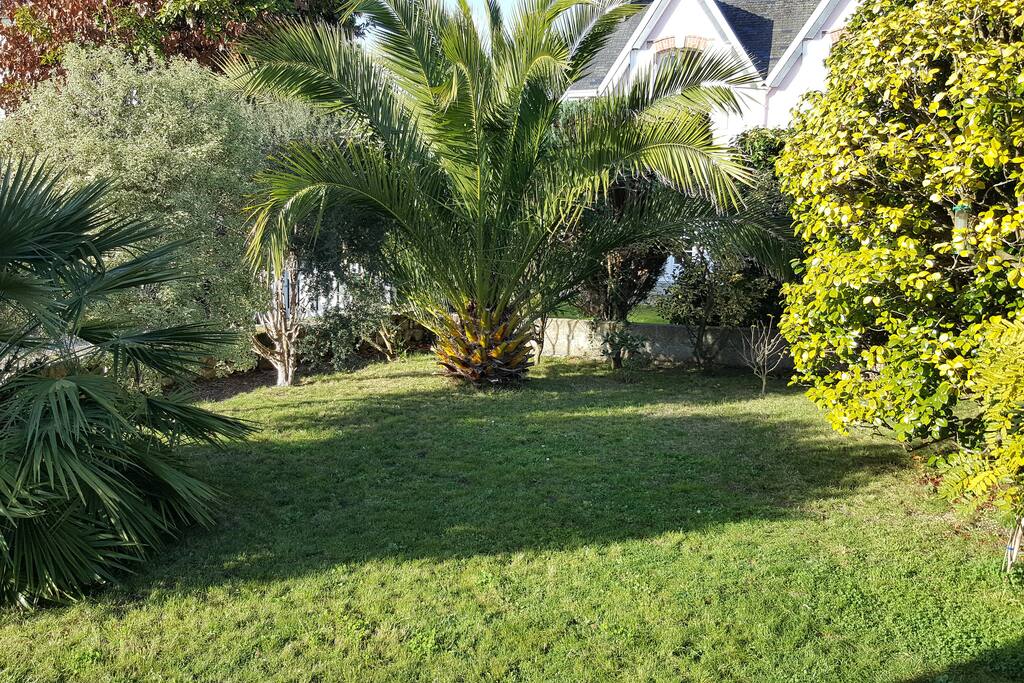 Jardin 2