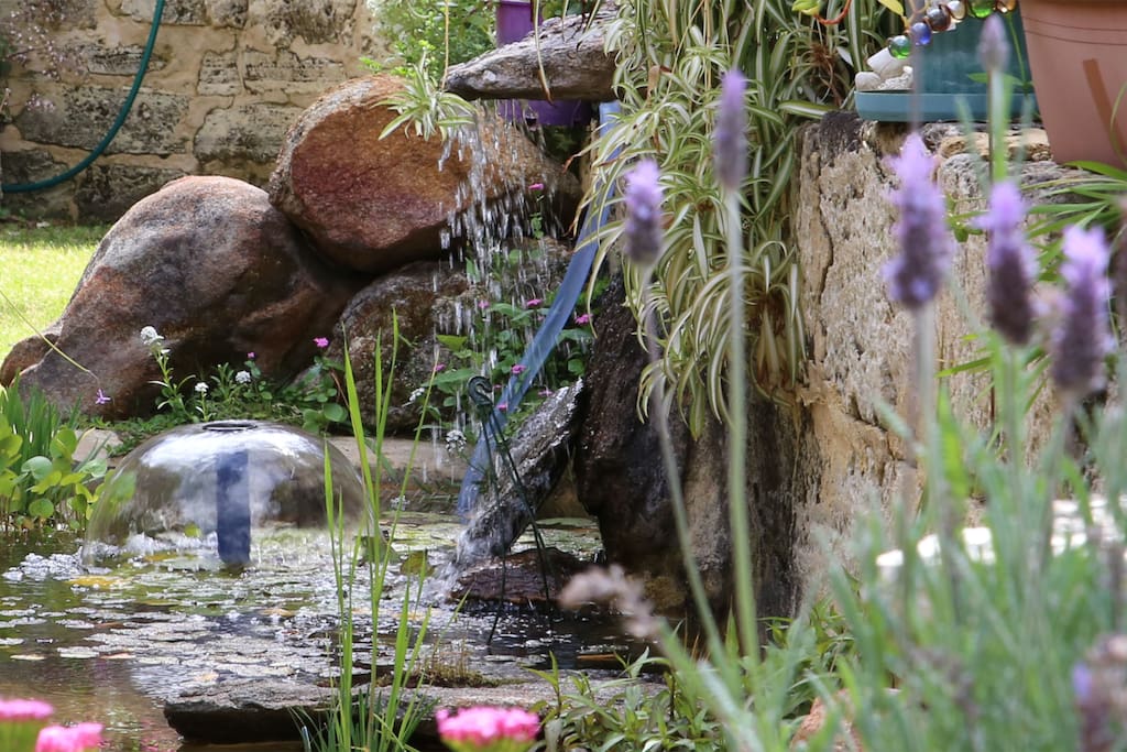 Waterlilies, Fish and tinkling waterfall provide a tranquil break after a busy day...