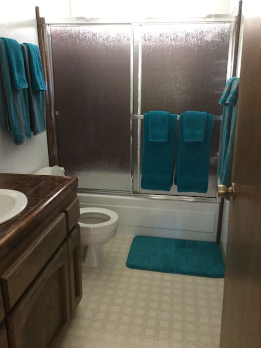 Bathroom on a lower level