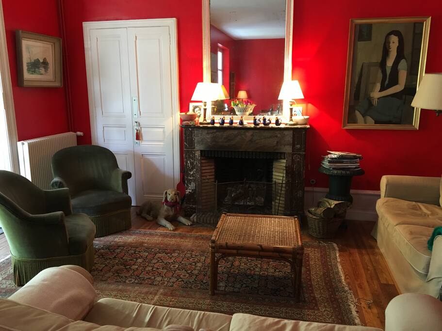 Salon