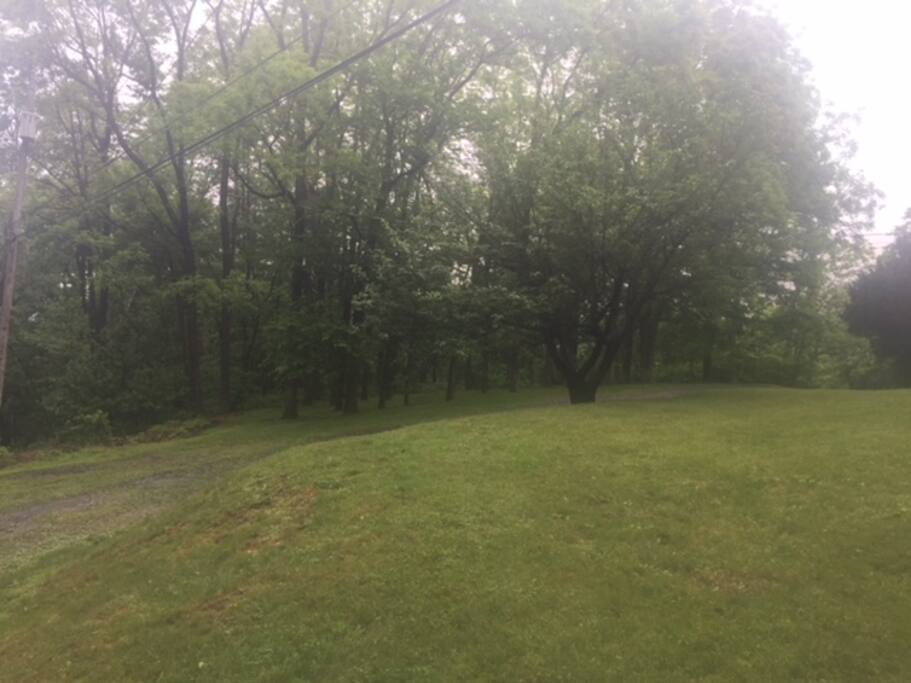 Front yard view