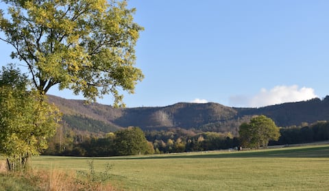 Apartment on the Harz in beautiful nature